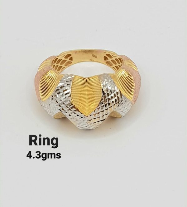 jw101 jw101